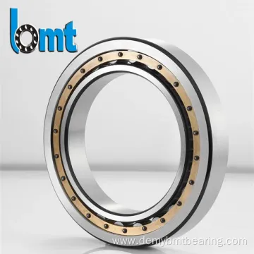 Nu205 E Cylindrical Roller Bearings